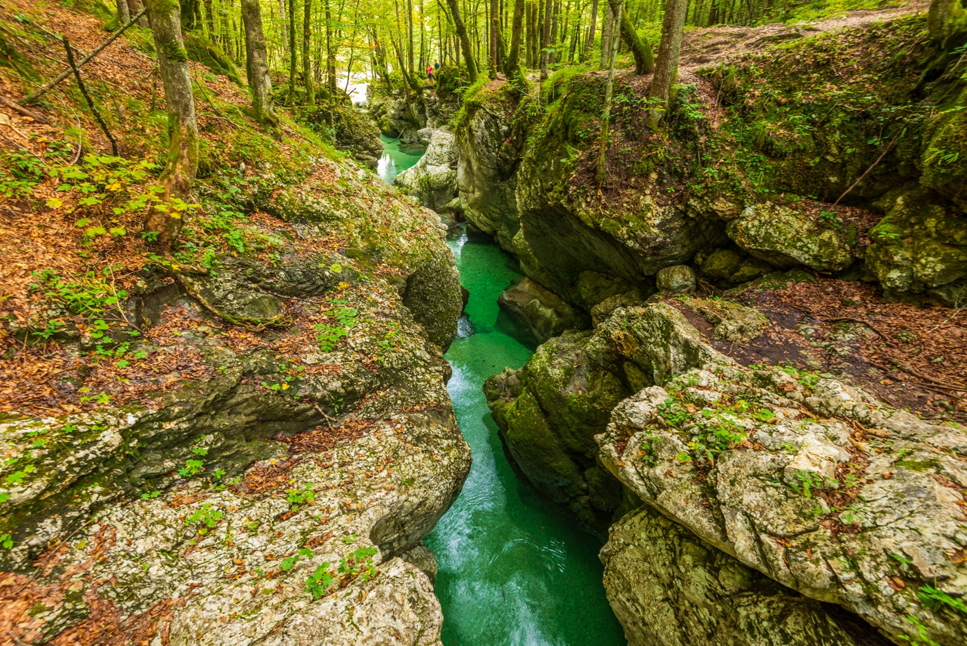 Wandelen door de Mostnica kloof en Voje vallei in Slovenië
