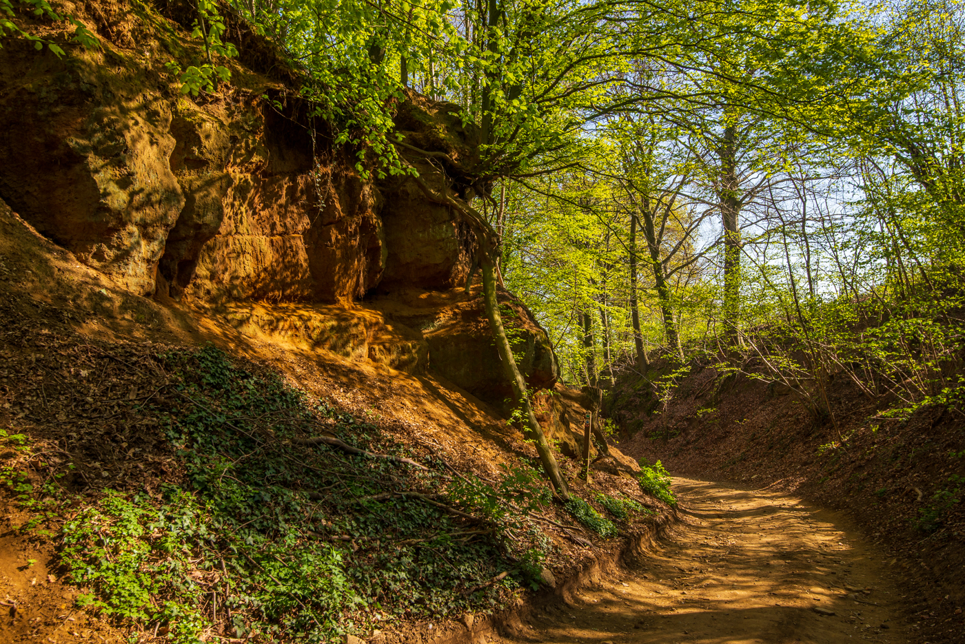 Wandeling langs de holle wegen van Loksbergen